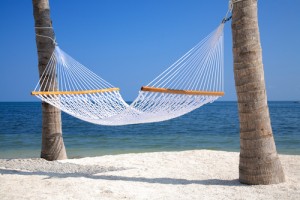 hammock-between-two-palm-trees-fla517