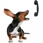 a bassett hound howling on the phone