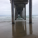 IMG_2467 copy